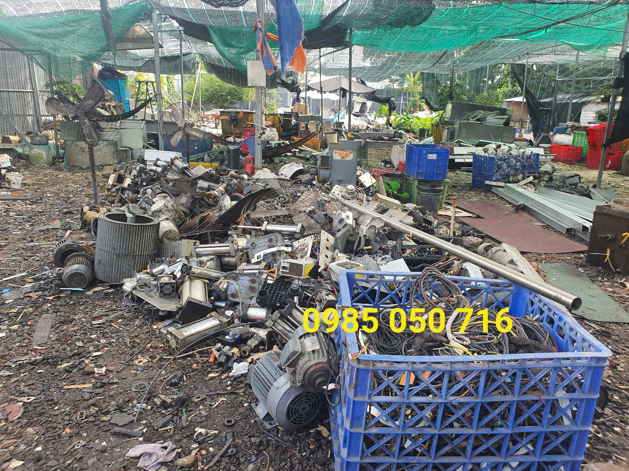mua phe lieu tại ba ria vung tau